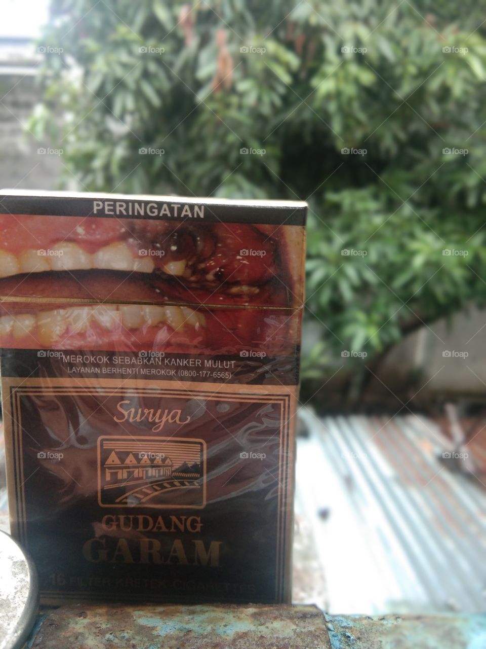 rokok