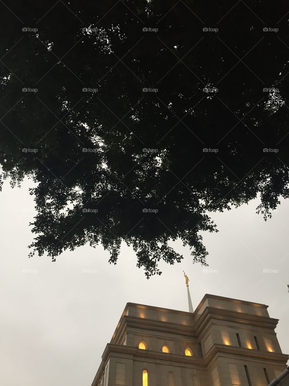 The Church Of Jesus Christ of Latter-Day Saints Holy Temple in Hong Kong China. Angel Moroni facing East, in The East. Culturally Known as The Mormon Church Worship Place. Copyright Chelsea Merkley Photography 2019. 