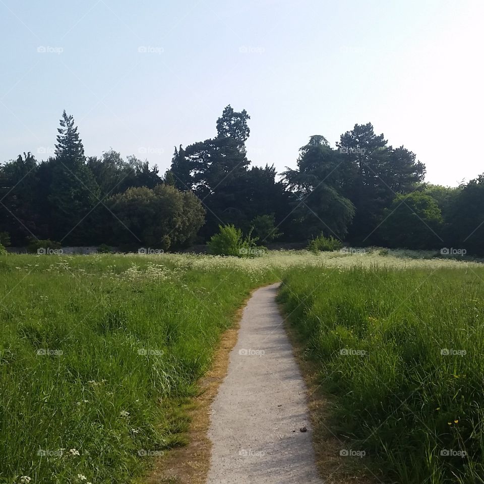 View of the beautiful meadows with a plain path through the middle.