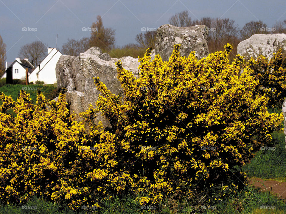 Carnac 