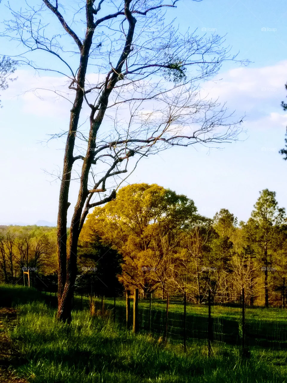 scenery