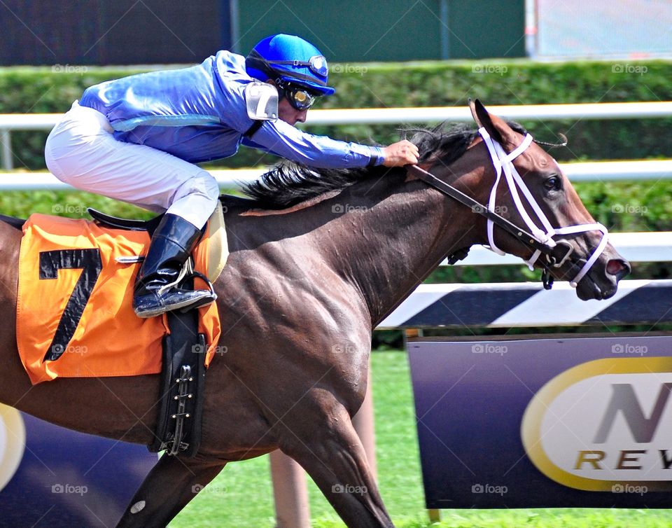 Irish Sweepstakes. Jockey Rajiv Maragh wins with this huge muscular 2 yr-old filly, Irish Sweepstakes at Saratoga. 
Zazzle.com/Fleetphoto. 