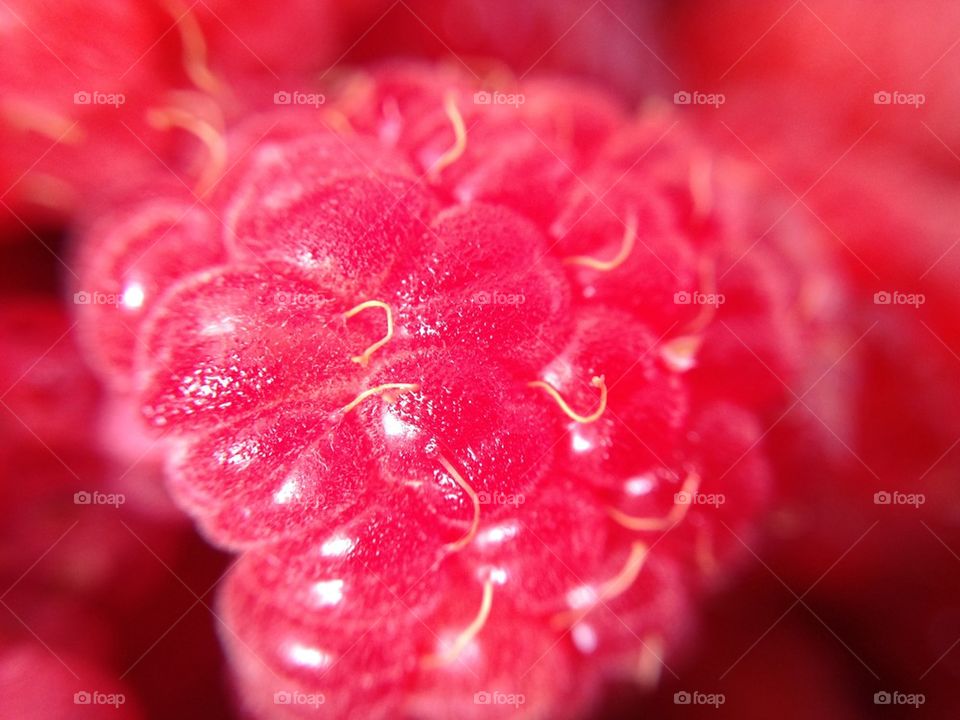 Raspberry