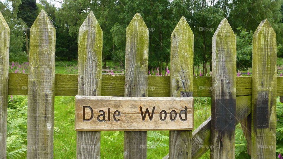 Dale wood
