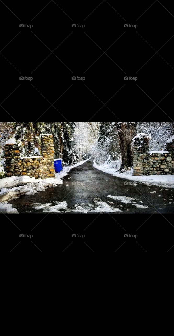 Here we have a long drive way with snow on the ground two walls on the side to enter in trees that have white snow to give it light and this goes down to a big mansion.