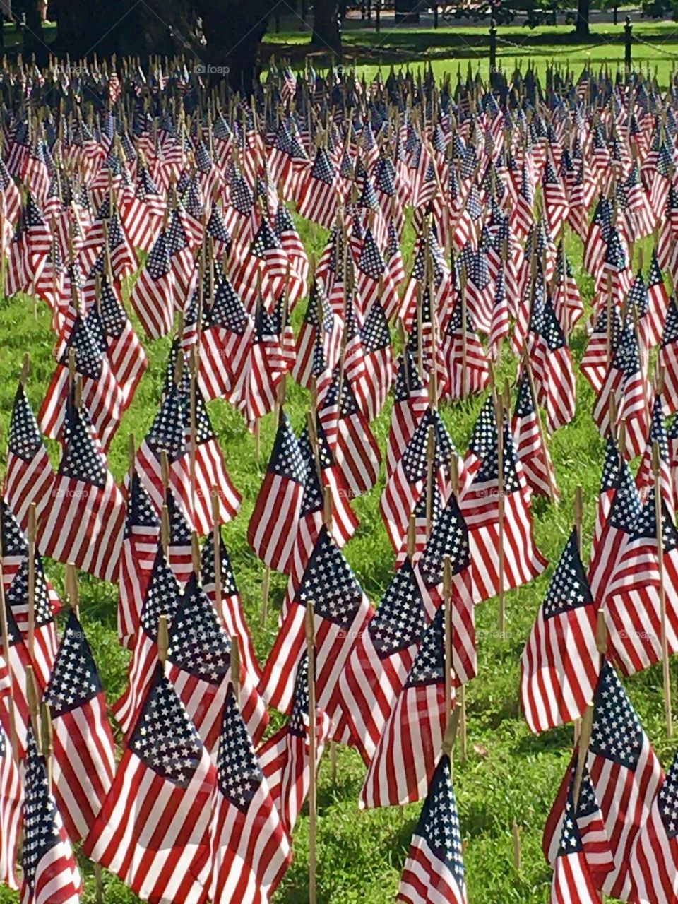 The 9/11 Memorial in Boston Common is a solemn tribute to the lives lost on that tragic day. Rows upon rows of small American flags are arranged across the grassy expanse, each flag representing one of the victims.