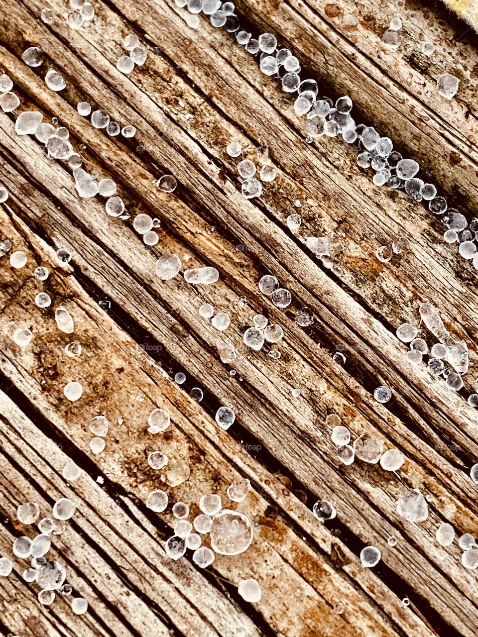 Bits of sleet on a wooden deck. Winter storm.