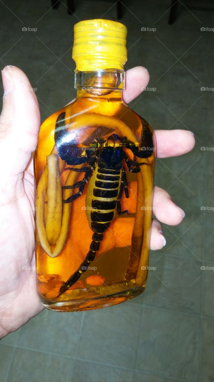 Jugo De Scorpion. this was a gift from a Fellow Marine Corps buddy. Scorpion Run