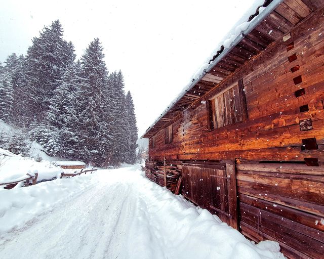 winter landscape