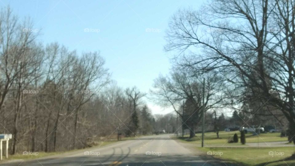 Tree, Road, Landscape, Nature, Season