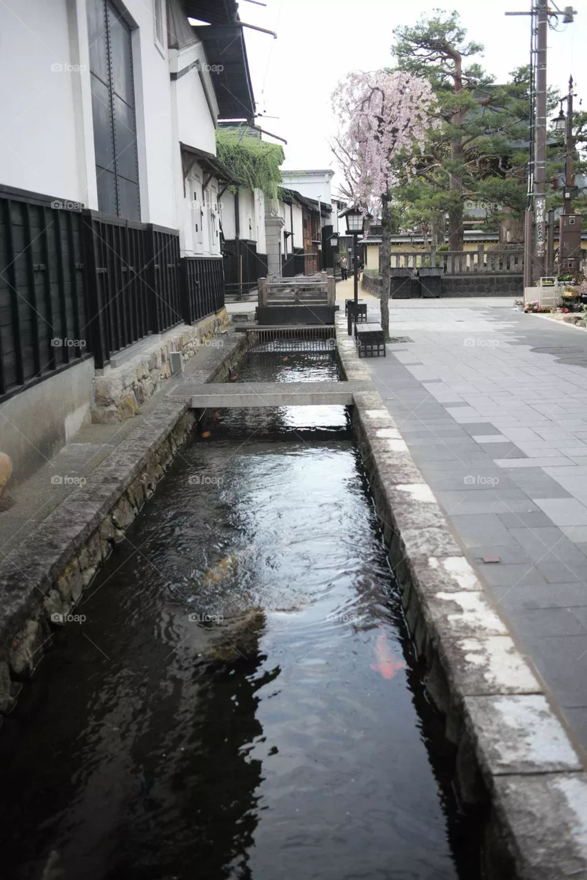 No Person, Water, Street, City, Architecture