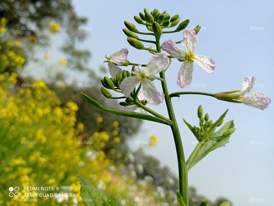 How much do you like this photo.