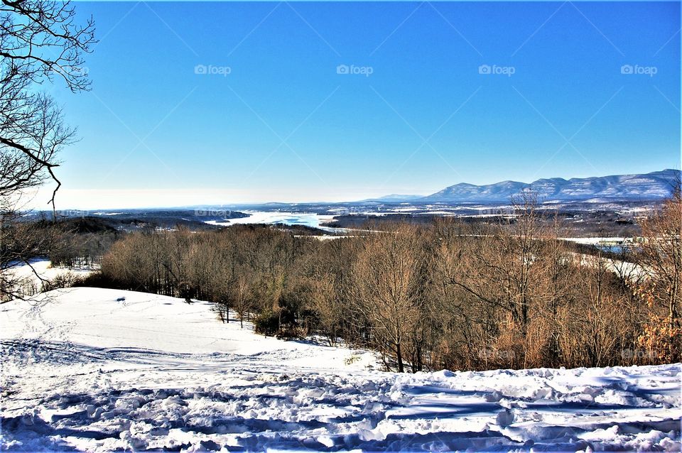 Winter hillside 