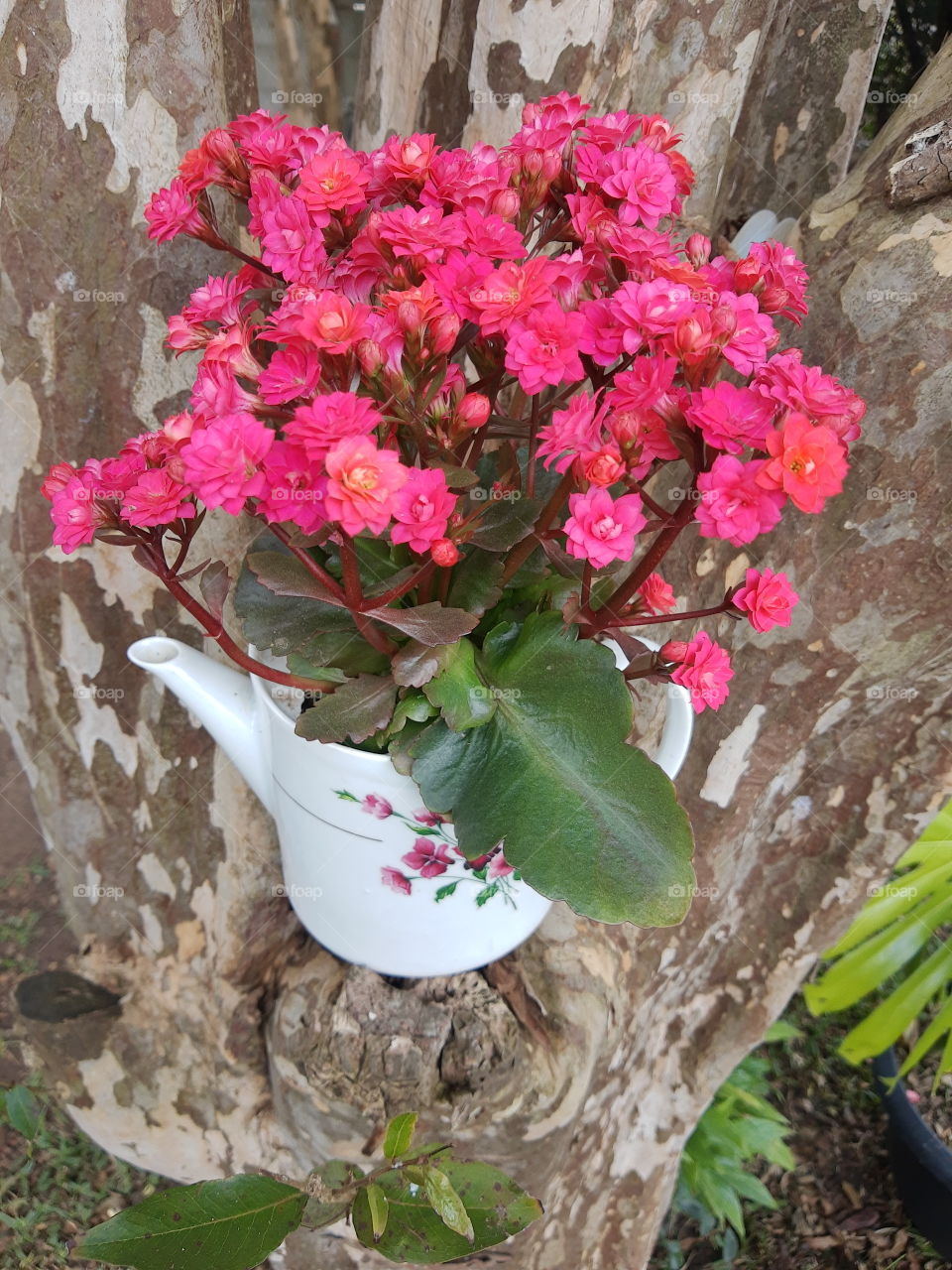 flower arrangement in porcelain teapot