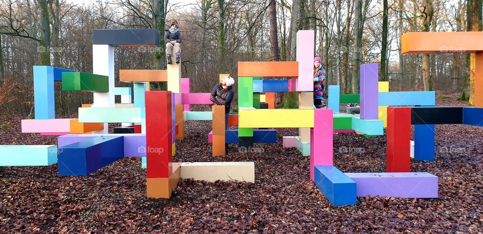 Colours in the woods