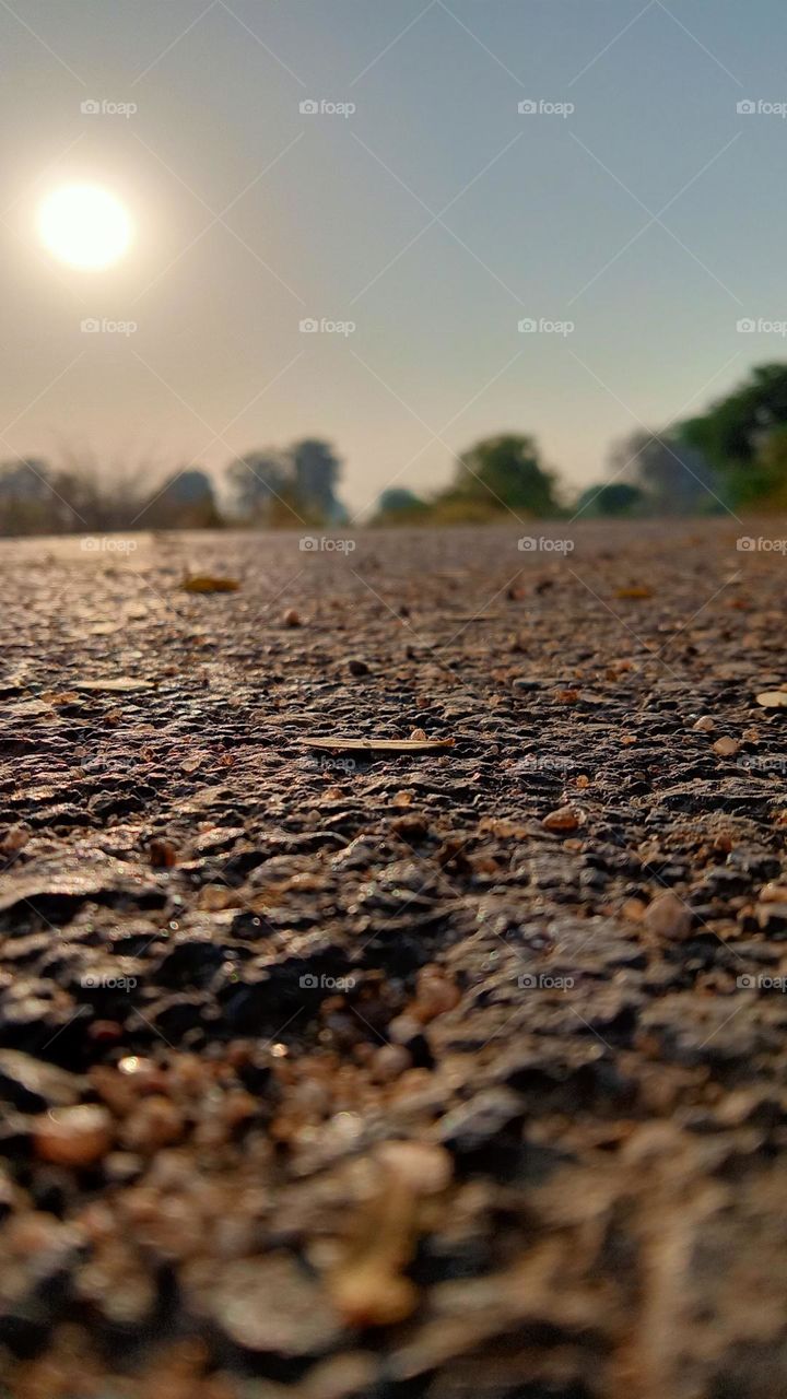 do you like this photo ?