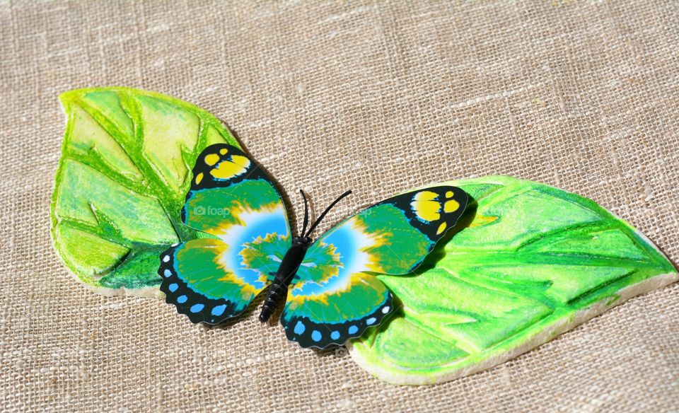 Butterfly, Nature, Leaf, Flower, Desktop