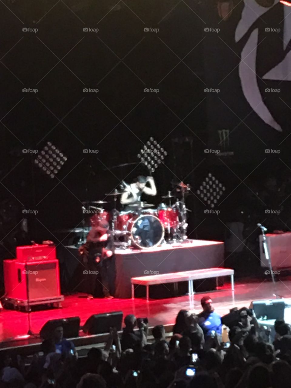 Performance, Concert, Music, Audience, Festival