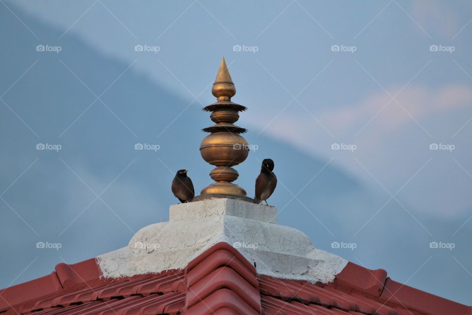 hiking in the mountains 
pair of bird on top of a temple in Himalays in Dharamshala