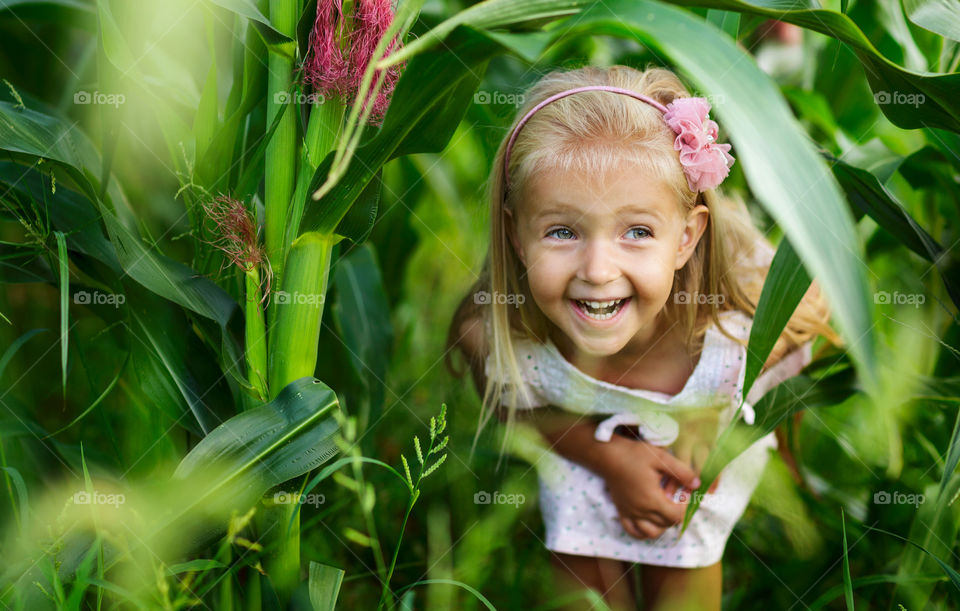 Cute little girl with blonde hair in corn field 