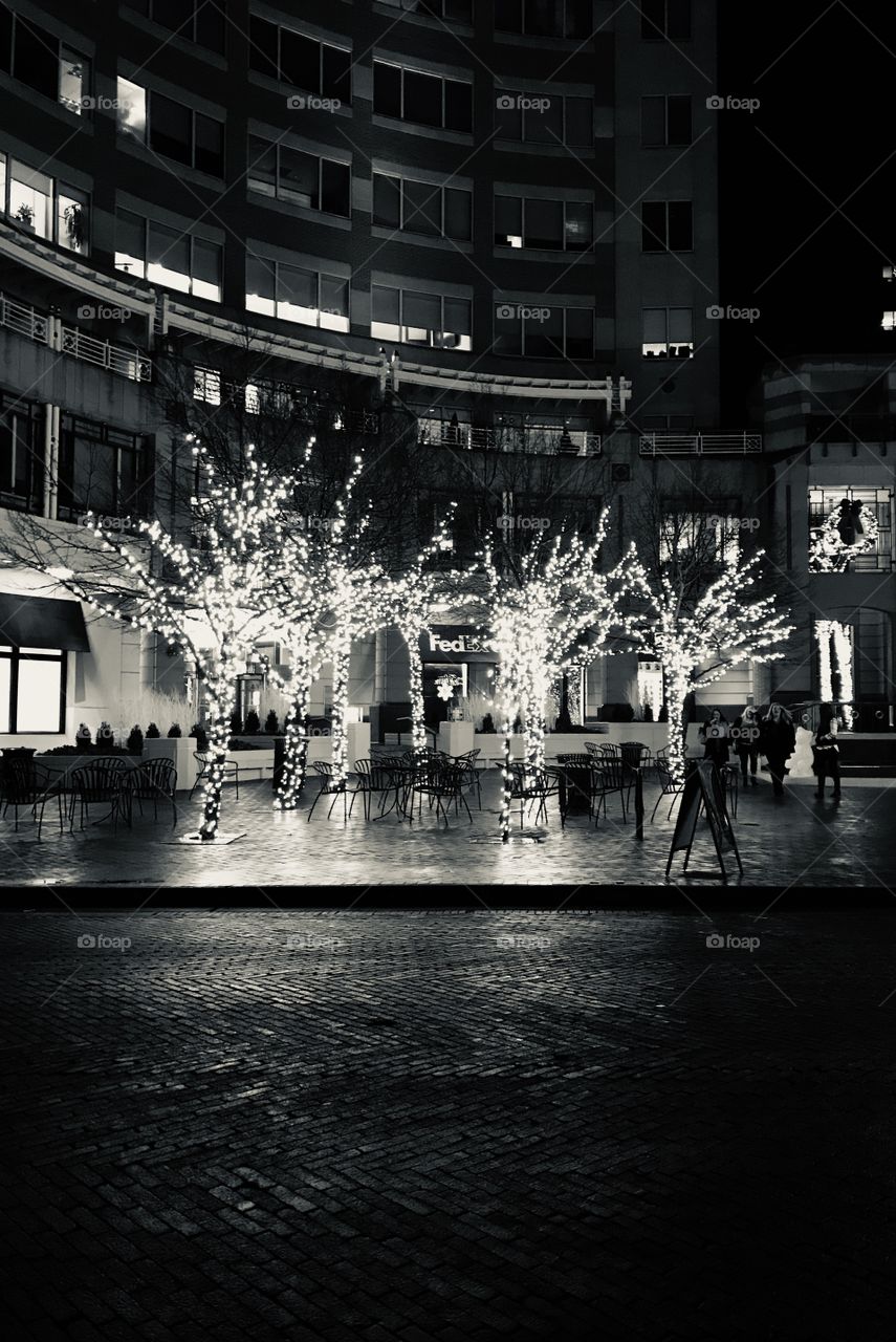 Lighted tree decorated for the holiday 