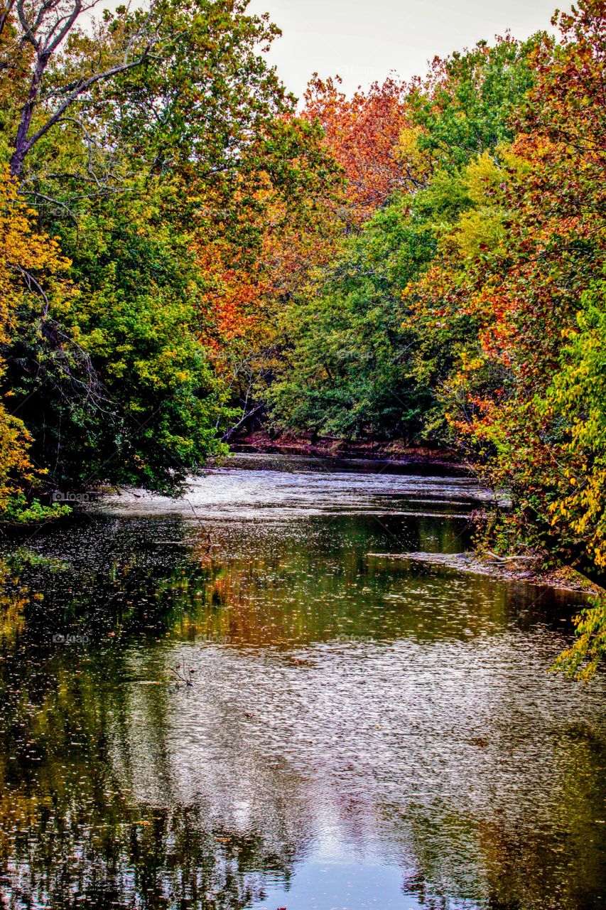 fall colors on the creek