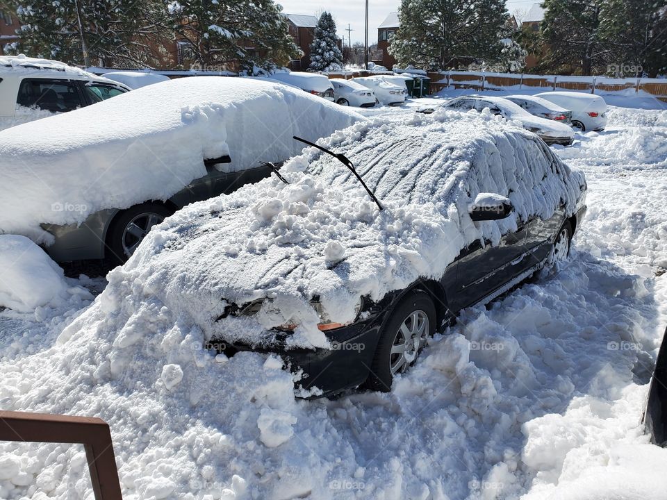 snow removal progress