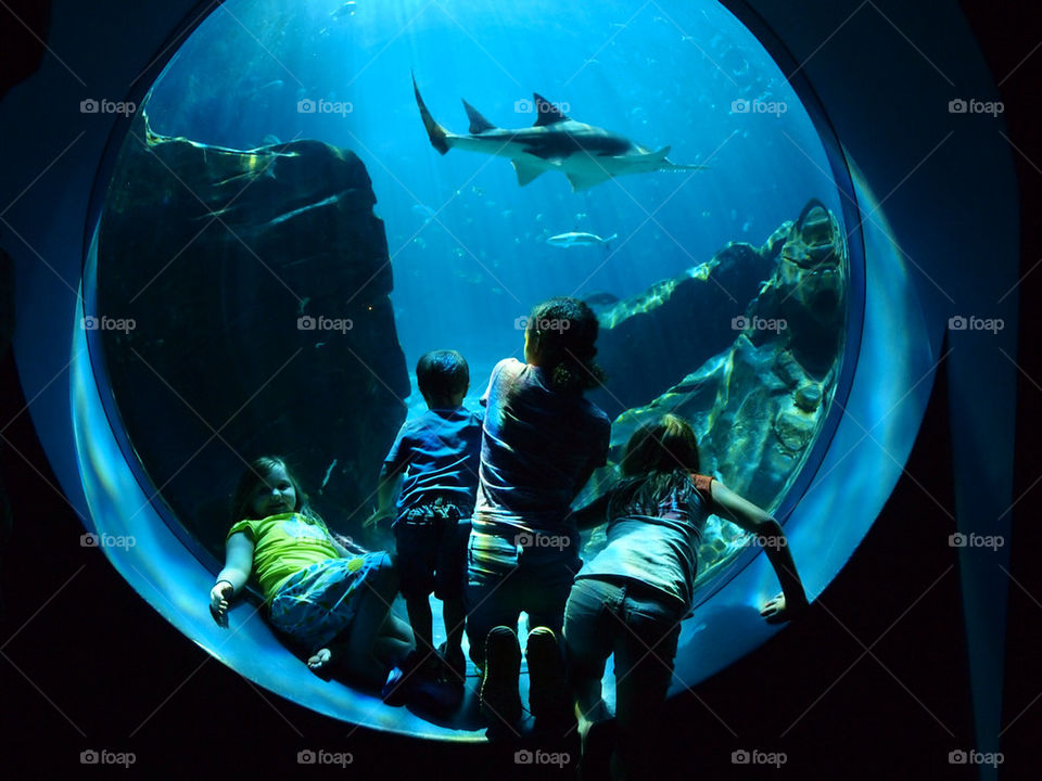 water fish aquarium under by jgregoire