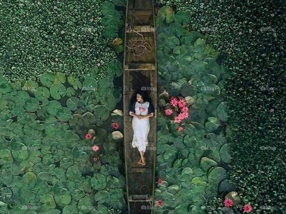 The Stillness Within 