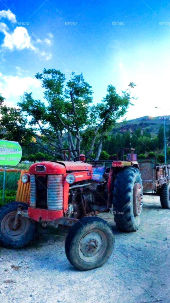 Old tractors were displayed on the side of the vegetable garden and were chic.