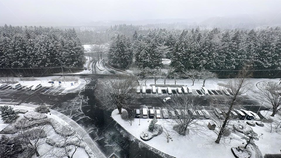 It had snowed overnight and a thick white layer covered the ground.