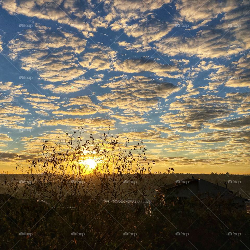 Sun rising in a cloudy day, giving us an amazing spectacle of color, lights and beauty. Not even the small tree in front of the sun bothers it, rather adds to complete the almost-like-a-paint sunrise.