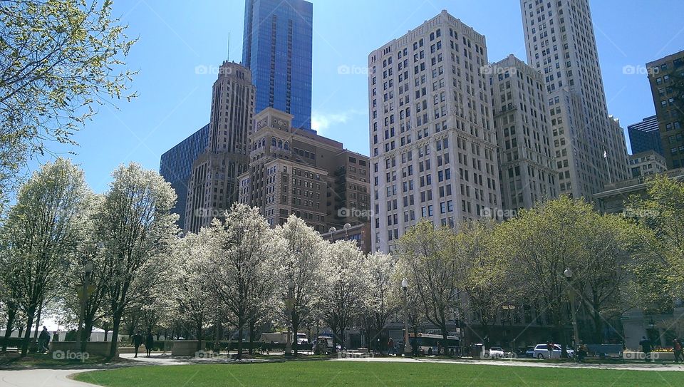 A View from Wrigley Square. Lunching in the park in downtown Chicago