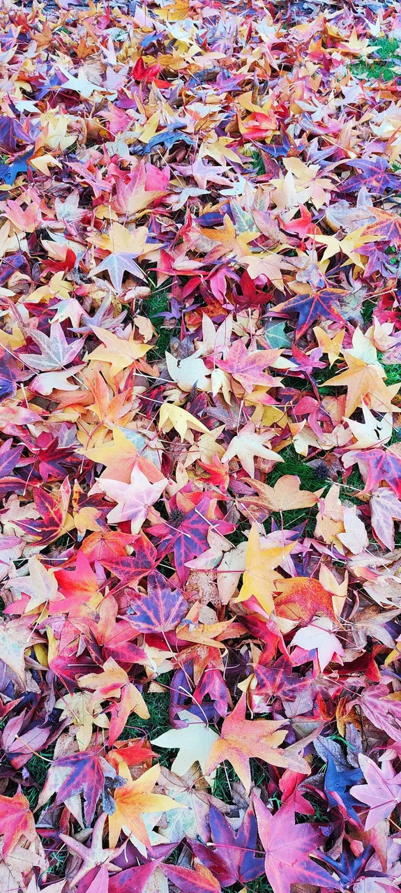 colores del alma