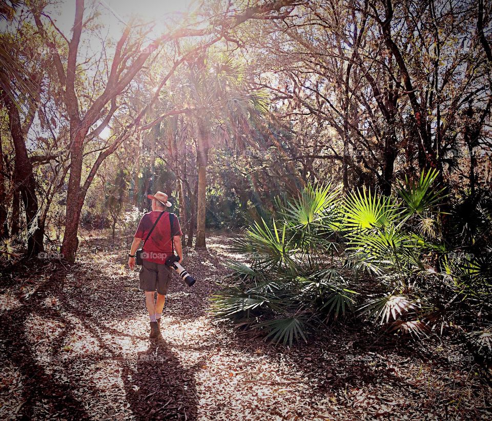 Photographer walking through a beautiful forest in bright sunshine.