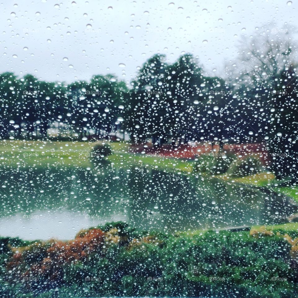 raindrop pond