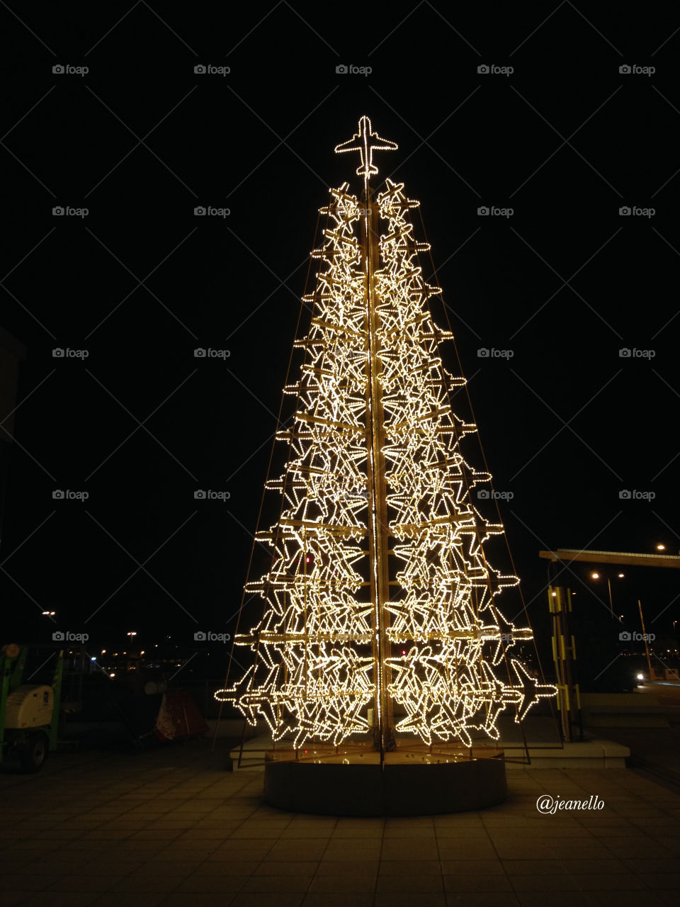 Tree of many journeys!