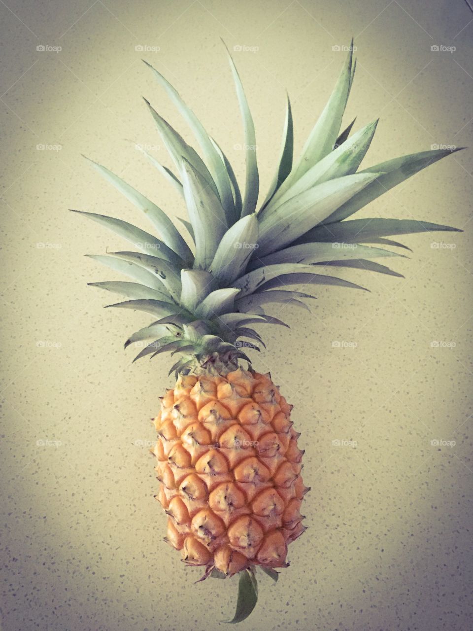 Pineapple . Our pineapple 