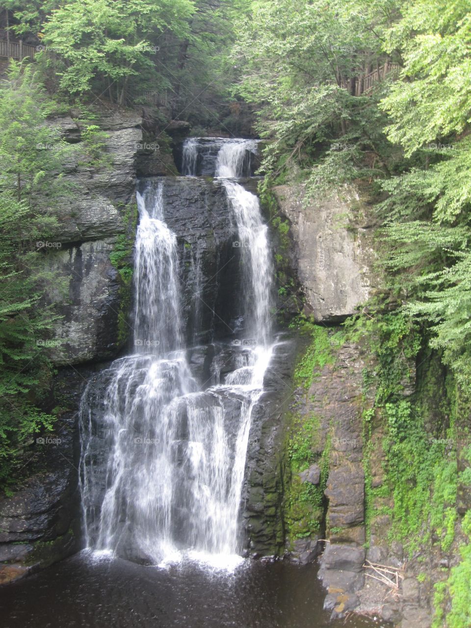 bushkill falks