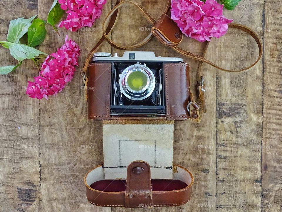 Old camera with hydrangea