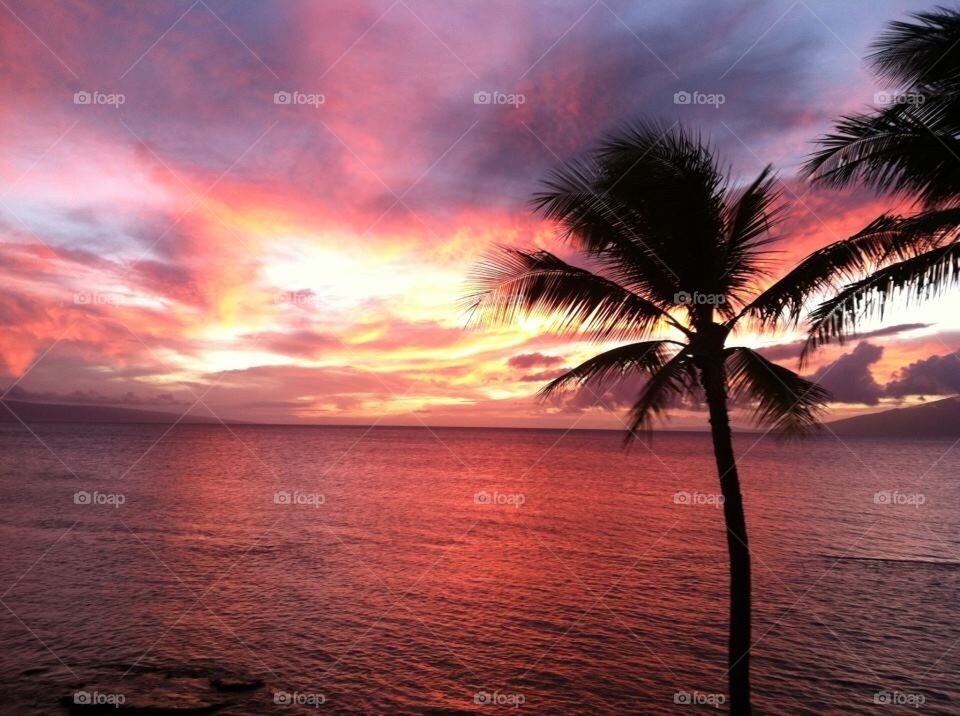 Amazing Maui 