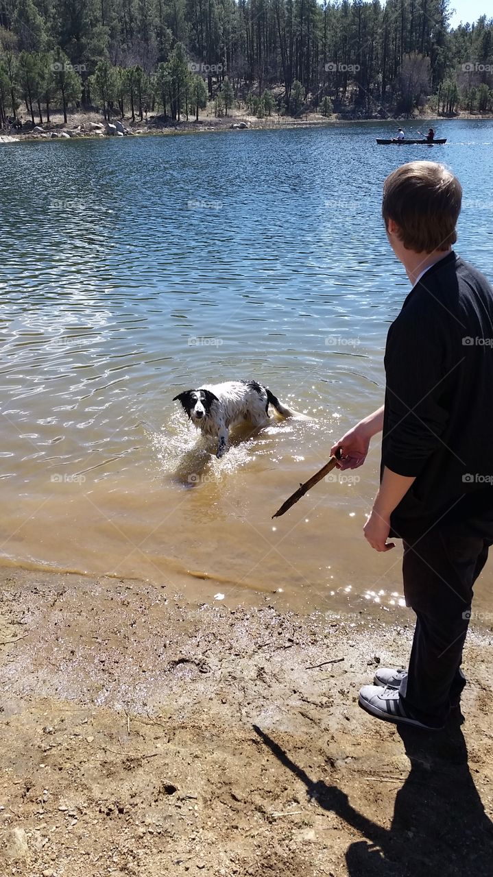 az lake fetch. throwing a stick for my happy dog in a lake in prescott arizona.