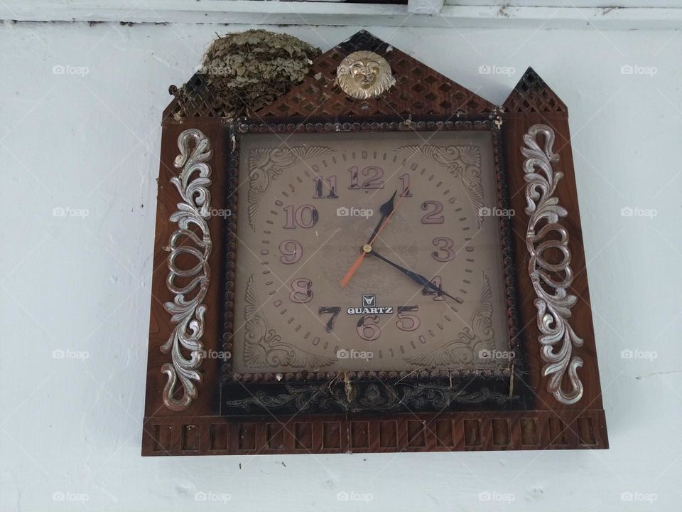 Birds make nests and give birth on our wall clocks.