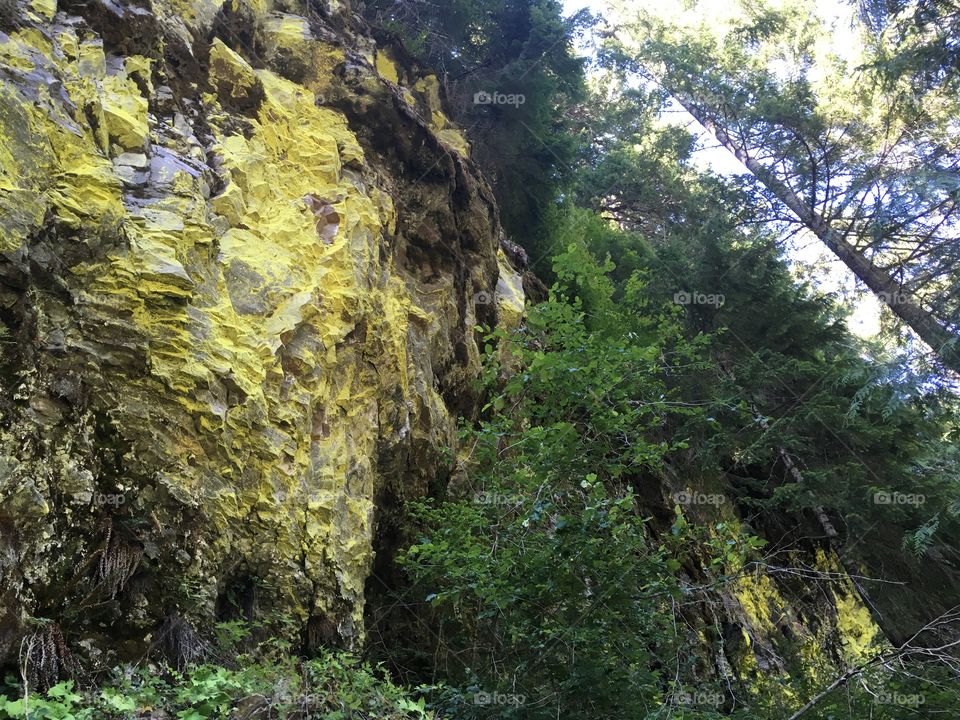 Colorful rock face 