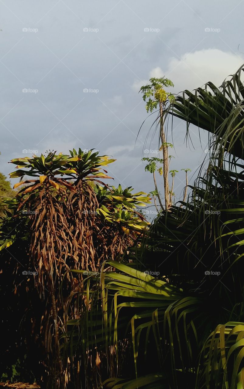 Natureza selvagem. Ou seria preservação consciente e correta de uma beleza que devenos sempre cuidar?