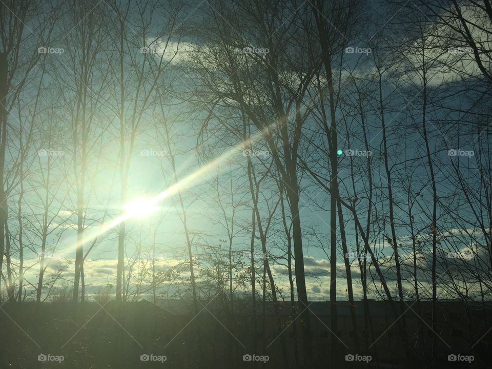 Rays through the trees... taken while riding in car