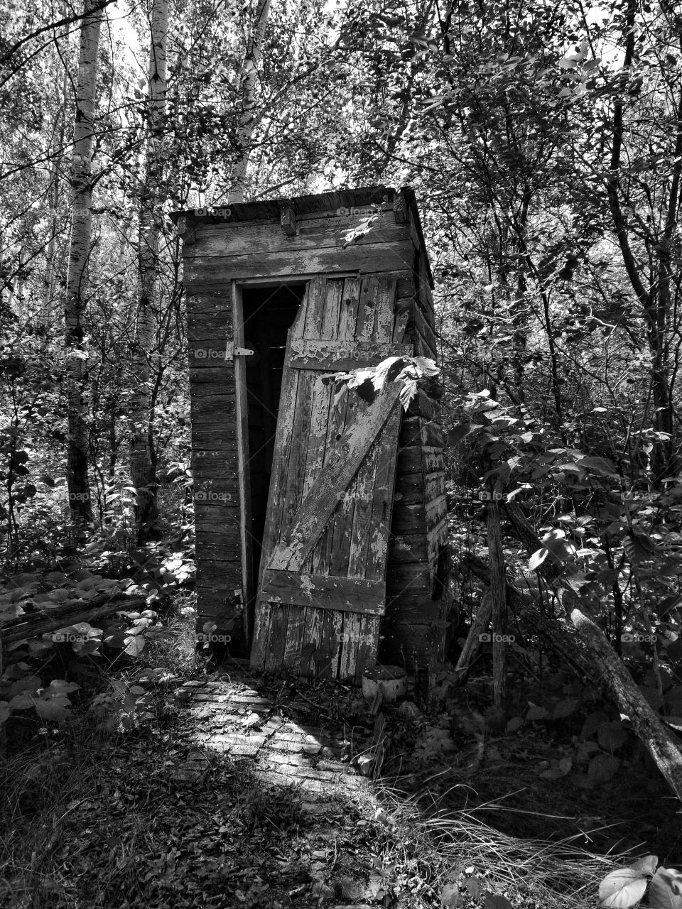 Old abandoned outhouse on the prairies