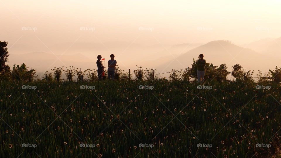 Morning on Mount Gede