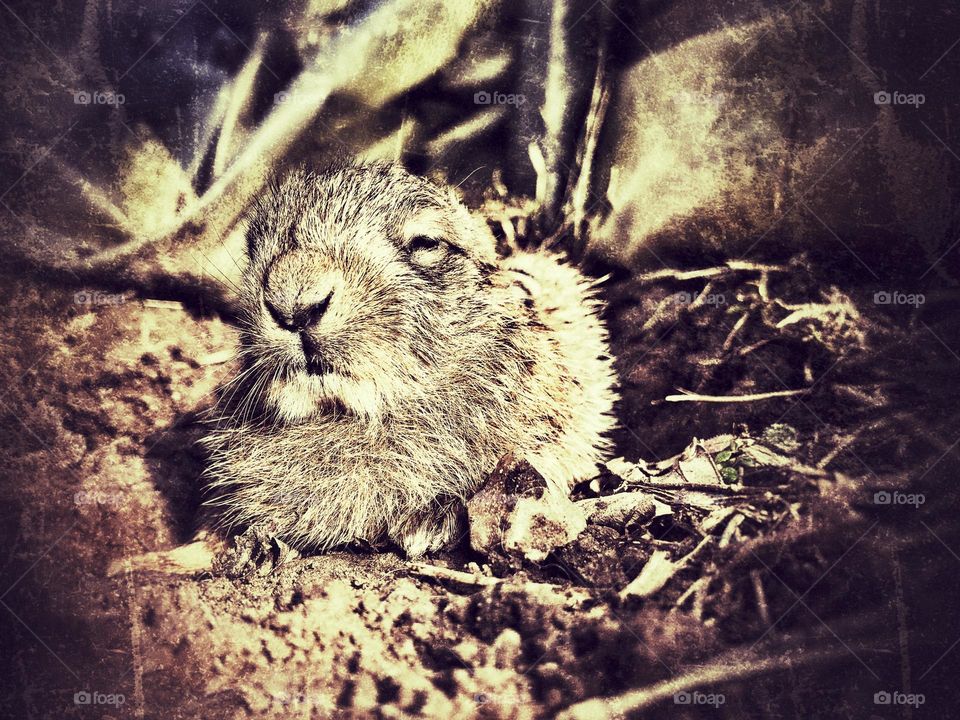 A little relaxation from life on the run