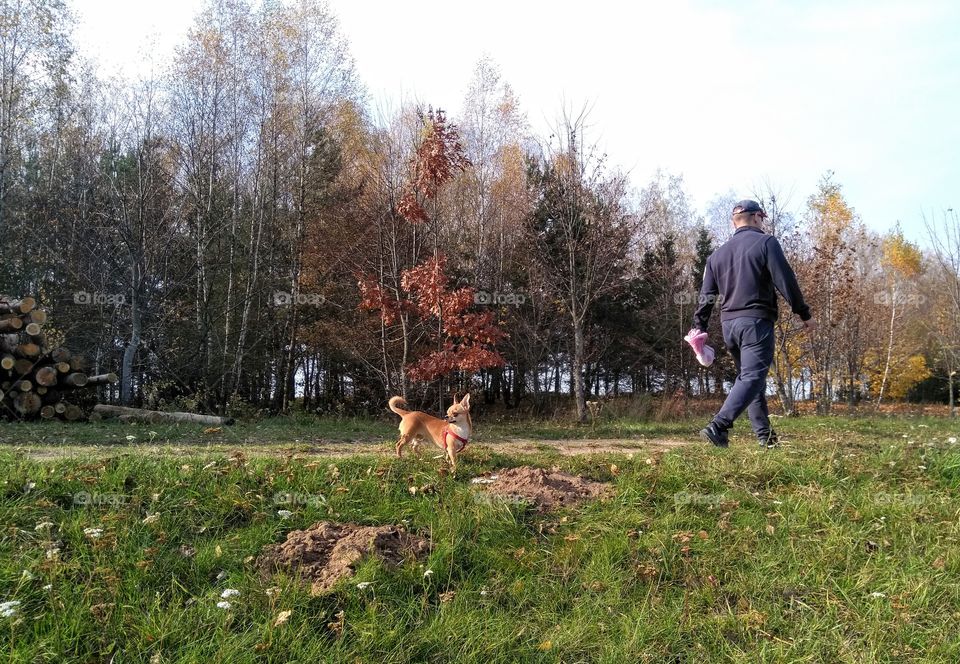 morning walking person with dog autumn beautiful landscape